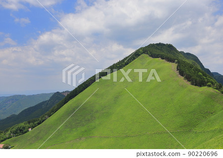 Sengi高原的新鮮綠色 Sengi高原的新鮮綠色 90220696