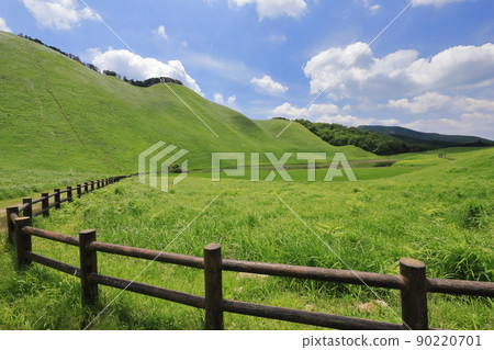 Sengi Plateau of fresh green Sengi Plateau of fresh green 90220701