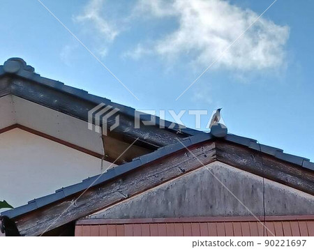 A dilapidated old house A dilapidated old house 90221697