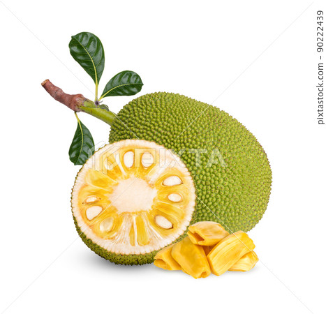 Ripe Jackfruit isolated on white background 90222439