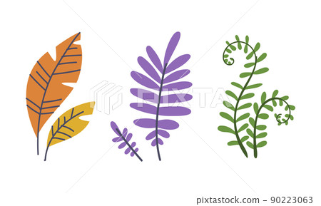 Simple Doodle Leaf of Plant on Stem Isolated on White Background Vector Set Simple Doodle Leaf of Plant on Stem Isolated on White Background Vector Set 90223063