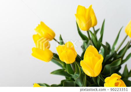 Bouquet of yellow tulips Bouquet of yellow tulips 90223351