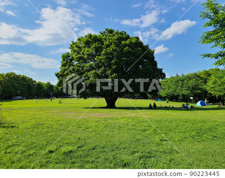 A big tree similar to the Hitachi tree 90223445