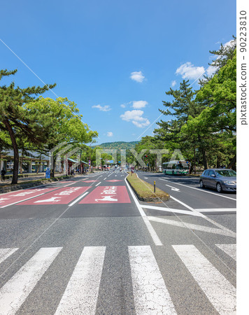 Fresh green Nara Park From Omiya Dori Kasugayama Wild Forest May 18, 2022 90223810