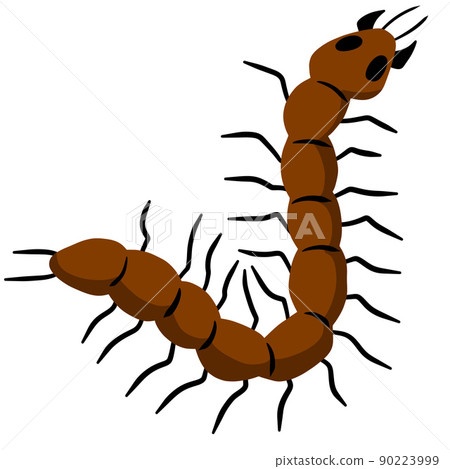Nasty insect. Centipede and millipede. Nasty insect. Centipede and millipede. 90223999