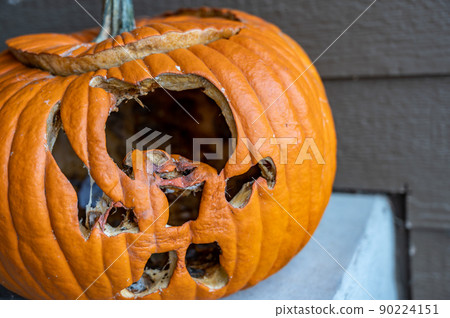 Moldy old pumpkin after being left out in the cold night of Halloween. Moldy old pumpkin after being left out in the cold night of Halloween. 90224151