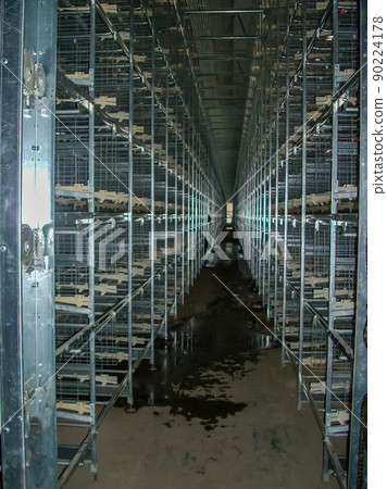 Rows of empty cages from inside an industrial chicken egg layer confinement building. 90224178