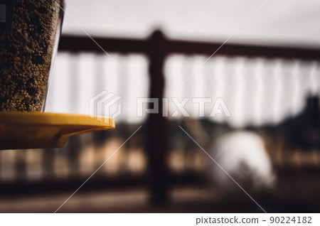 Selective focus on bird feeder with mix of seeds. Residential wooden porch in blurred background.  90224182