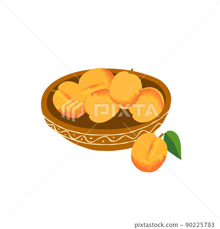 Illustration of a plate of apricot on a white Illustration of a plate of apricot on a white 90225783