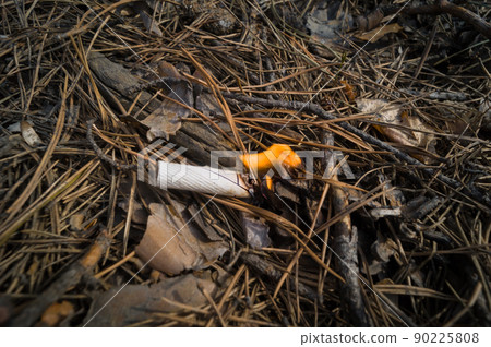A burning fire from an abandoned unextinguished cigarette butt. Burning dry needles in the forest from an abandoned cigarette. Dangerous situation. Fire threat. Selective focus 90225808