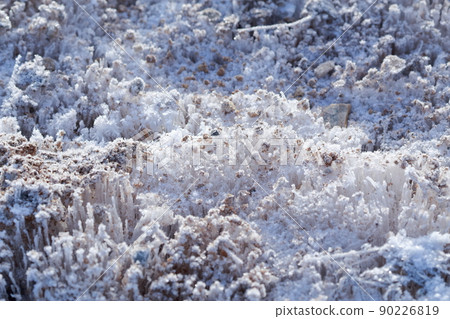 A frost pillar that makes a crunchy and pleasant sound Winter tradition (Chausan, Toyone Village, Aichi Prefecture) A frost pillar that makes a crunchy and pleasant sound Winter tradition (Chausan, Toyone Village, Aichi Prefecture) 90226819