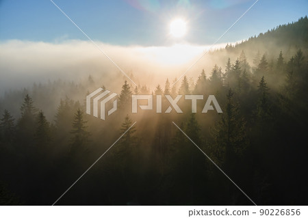 Aerial view of bright foggy morning over dark mountain forest trees at autumn sunrise. Beautiful scenery of wild woodland at dawn 90226856
