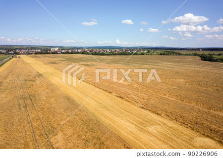 Aerial landscape view of yellow cultivated agricultural field with ripe wheat on bright summer day Aerial landscape view of yellow cultivated agricultural field with ripe wheat on bright summer day 90226906