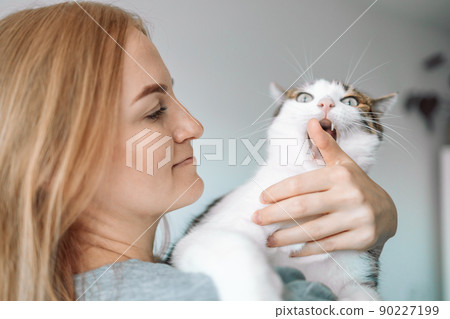 Attractive blonde 30s girl embracing her pet with smile. Woman petting stroking hissing angry tabby cat at home Attractive blonde 30s girl embracing her pet with smile. Woman petting stroking hissing angry tabby cat at home 90227199