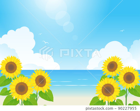 Image background of sunflowers and the sea 90227955