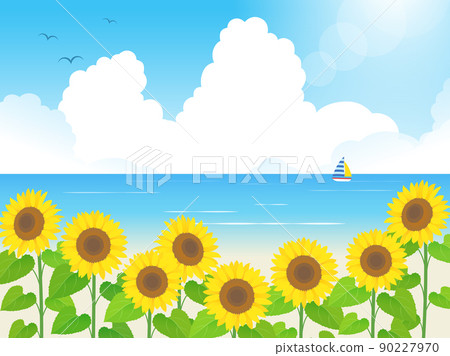Image background of sunflowers and the sea 90227970