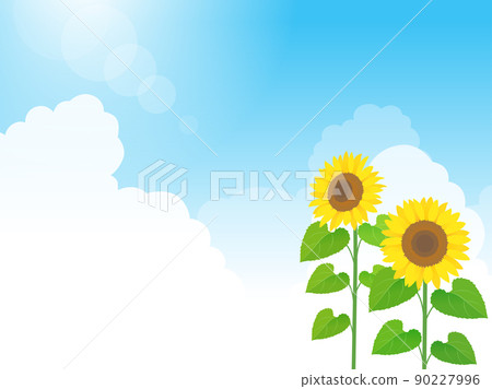 Summer image background Summer image background 90227996