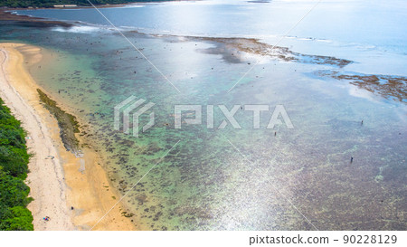 [Aerial view] Ishigaki Island Yonehara Beach 90228129
