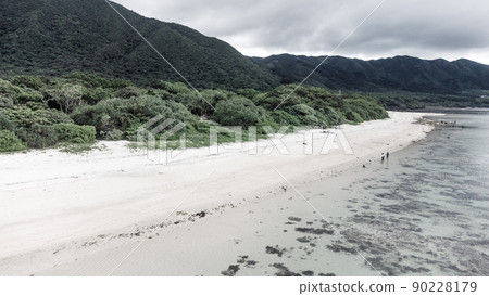 [Monochrome] Aerial view Ishigaki Island Yonehara Beach 90228179