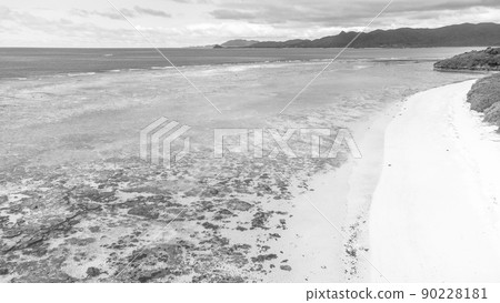 [Monochrome] Aerial view Ishigaki Island Yonehara Beach 90228181