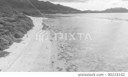 [單色] 鳥瞰石垣島米原海灘 90228182