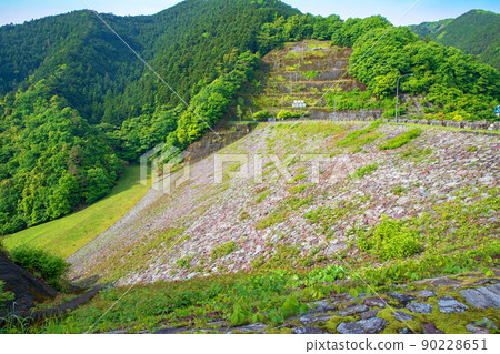 Arima Dam, Naguri Lake, Lakeside, Spring, Fresh Green Landscape Arima Dam, Naguri Lake, Lakeside, Spring, Fresh Green Landscape 90228651