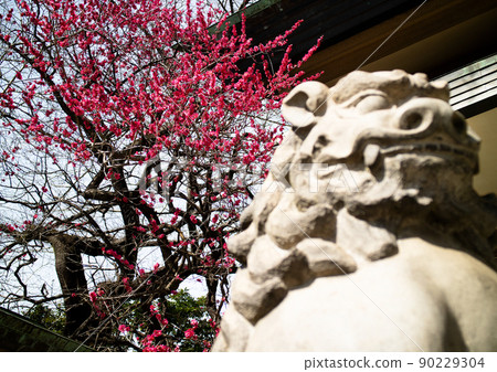 腹軸多哥神社 腹軸多哥神社 90229304