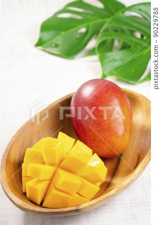 [Tropical fruit] Ripe domestic mango 90229788