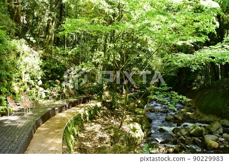 湯河原町萬葉公園湯河原總湯川路，露台座位和新鮮的綠色植物 90229983