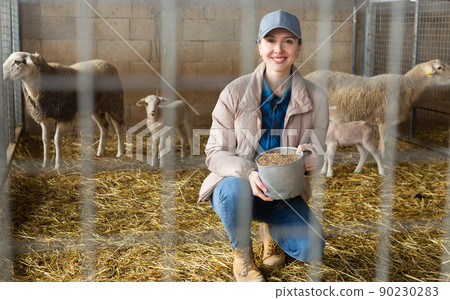 Portrait of female farm worker feeding lambs 90230283
