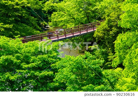 東京秋留野市，綠化豐富的秋川溪谷-石船橋- 90230616