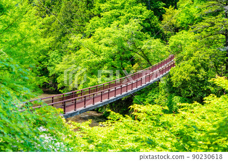 Akiruno City, Tokyo, Akigawa Valley with abundant greenery-Ishibune Bridge- Akiruno City, Tokyo, Akigawa Valley with abundant greenery-Ishibune Bridge- 90230618