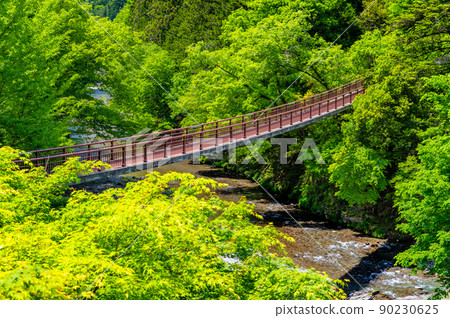 東京秋留野市，綠化豐富的秋川溪谷-石船橋- 90230625