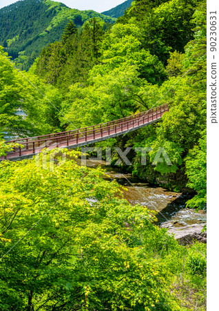 Akiruno City, Tokyo, Akigawa Valley with abundant greenery-Ishibune Bridge- Akiruno City, Tokyo, Akigawa Valley with abundant greenery-Ishibune Bridge- 90230631
