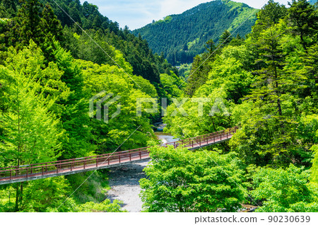 Akiruno City, Tokyo, Akigawa Valley with abundant greenery-Ishibune Bridge- 90230639