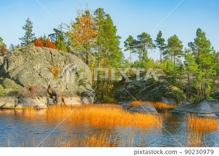 Pine trees on the cliffs of the lake at evening time. 90230979