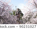Buddha statue at Shinrakuji Temple in full bloom cherry blossoms 90231027