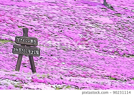 Japan's No. 1 Shibazakura Park Hokkaido 90231114