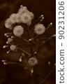 Monochrome fluff 90231206