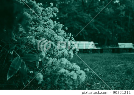 公園的長椅上 90231211