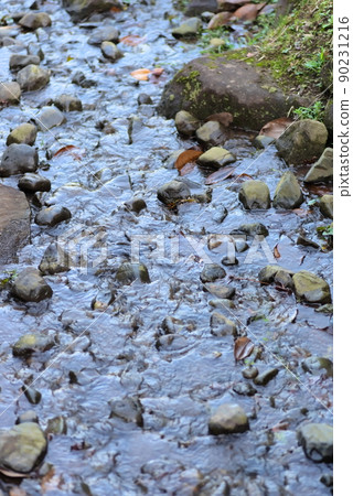 A stream flowing through nature A stream flowing through nature 90231216