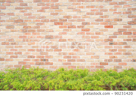 Brick wall and green of plants 90231420
