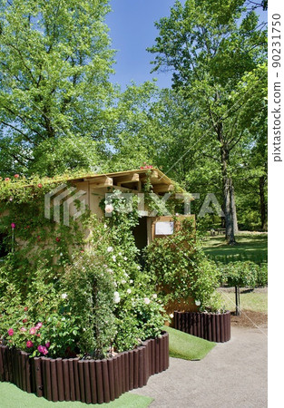 Vine rose hut with red flowers 90231750