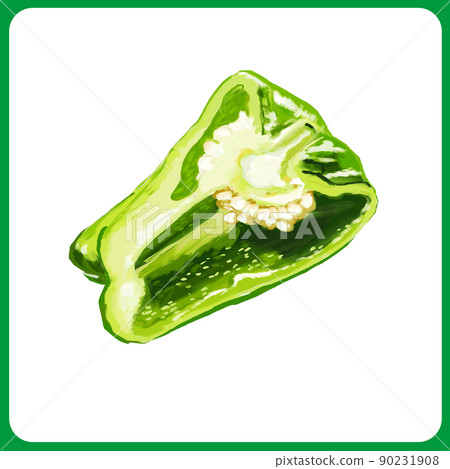 Hand-painted thick watercolor pepper cross-section illustration Hand-painted thick watercolor pepper cross-section illustration 90231908