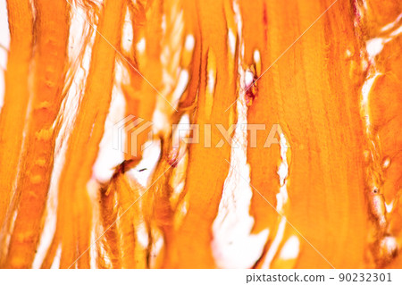 White fibrous cartilage of human under the microscope in Lab. 90232301