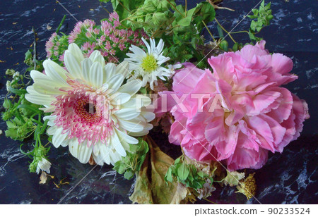 非洲菊和牡丹 非洲菊和牡丹 90233524