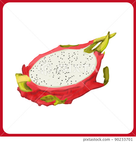 手繪厚水彩火龍果剖面圖 90233701
