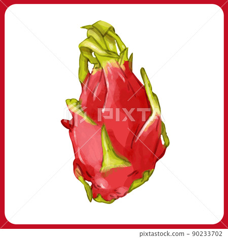 手繪厚水彩火龍果插畫 90233702