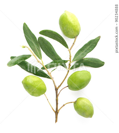 Olive fruit and olive leaves on a white background 90234888