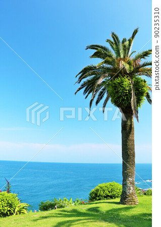 Miyazaki prefecture blue sky, sea and palm tree 90235310